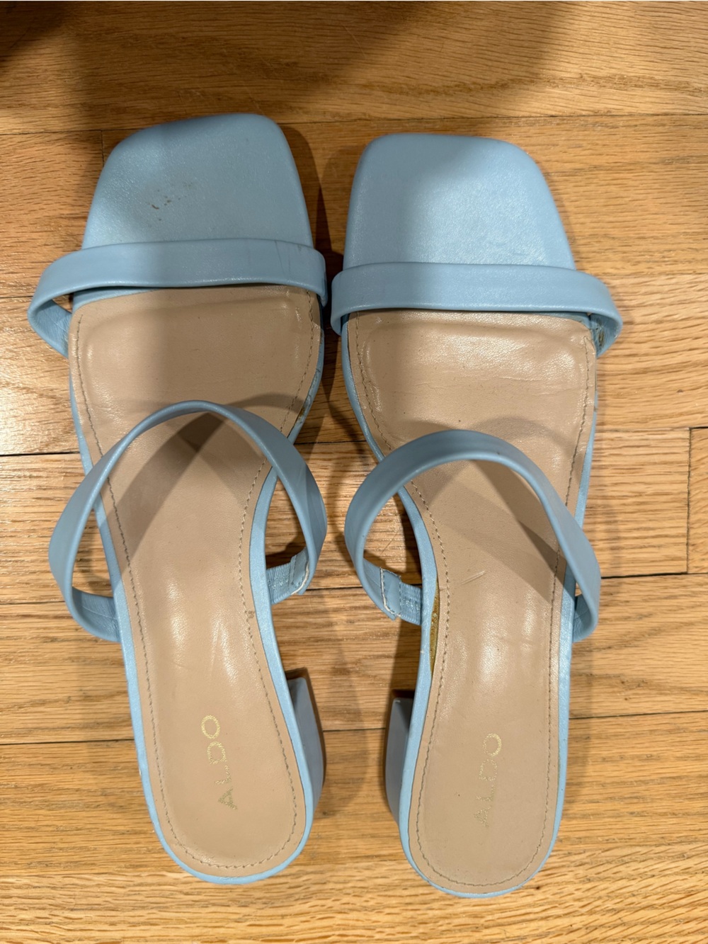 Aldo Pastel Blue Double-Strap Block Heels